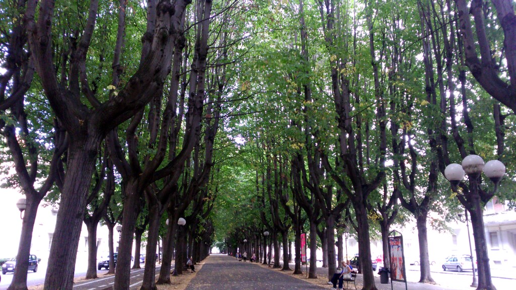 Via francigena 2017