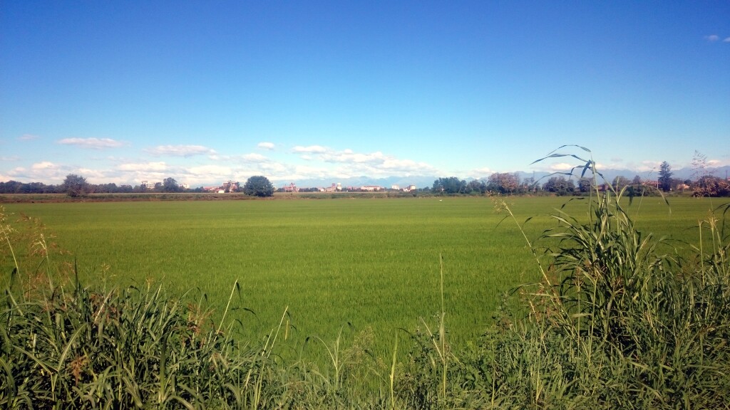 Via francigena 2017