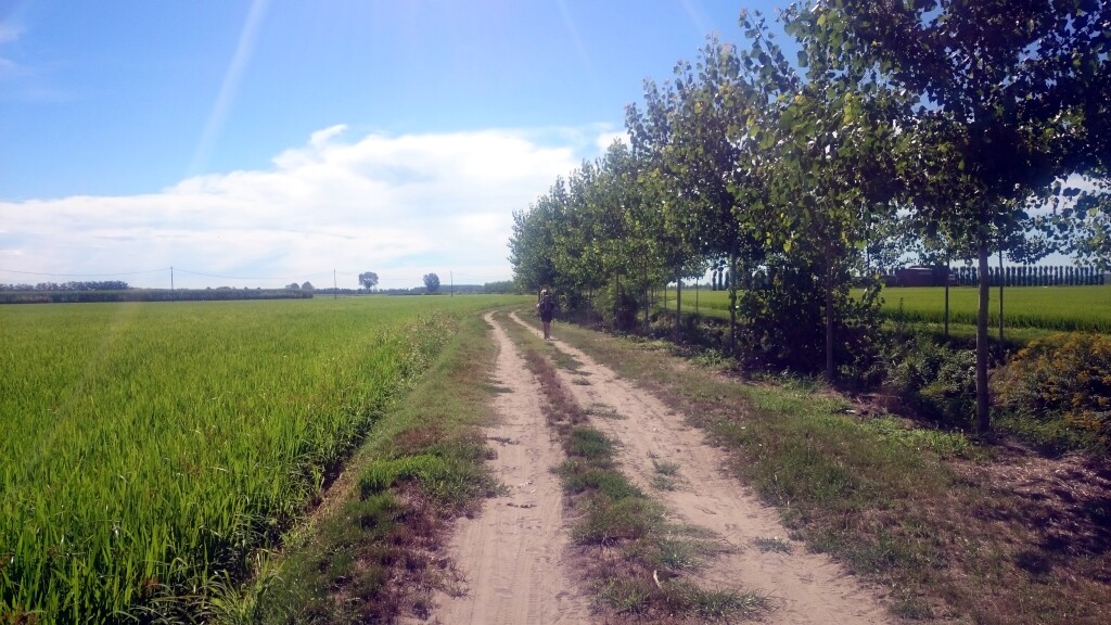 Via francigena 2017