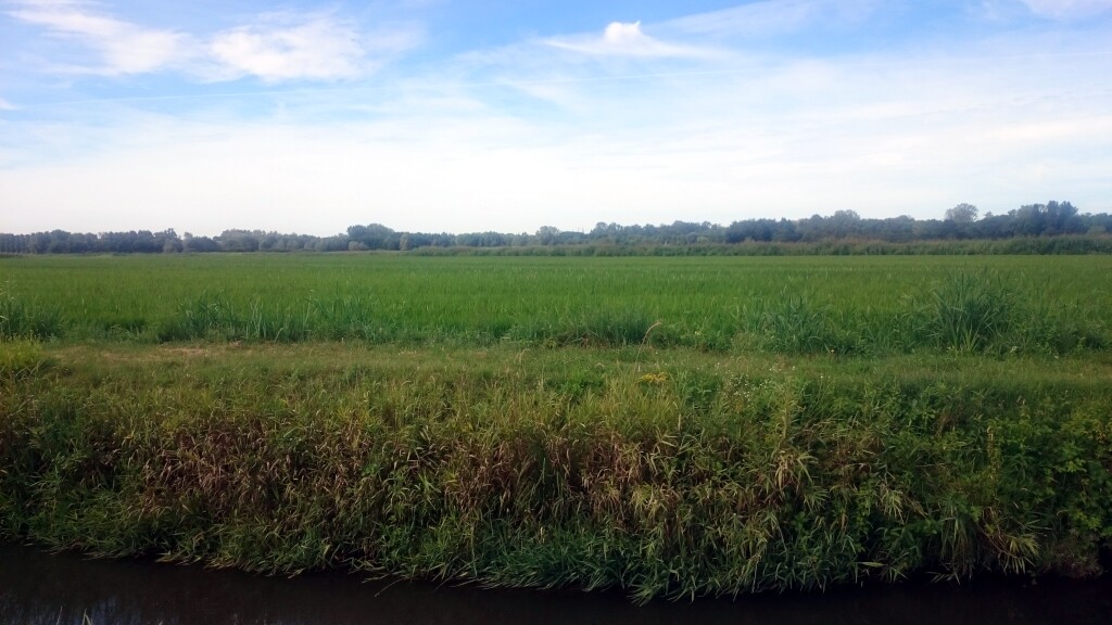 Via francigena 2017