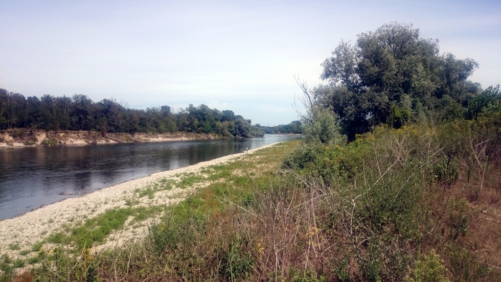 Via francigena 2017