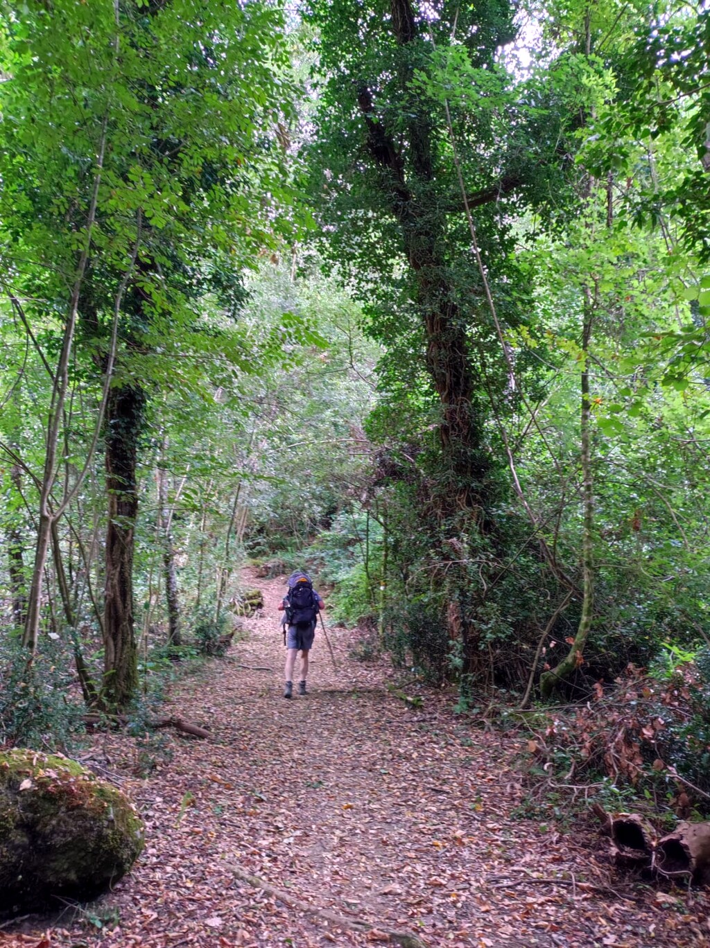 Via francigena 2024