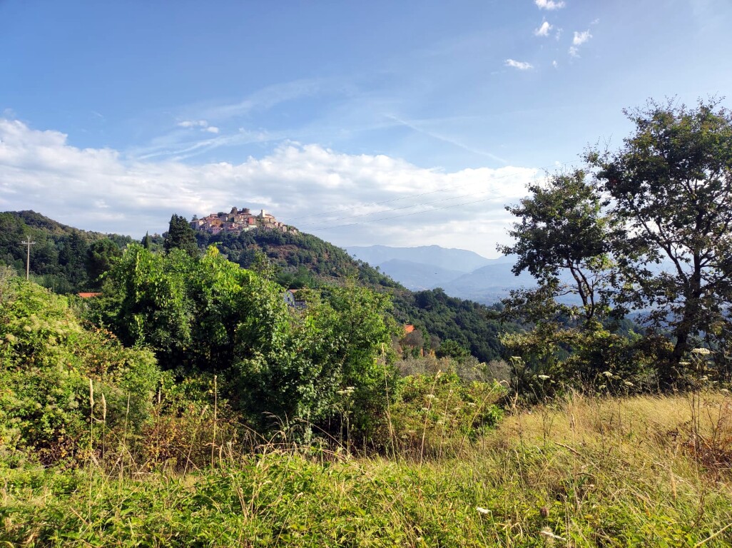 Via francigena 2024
