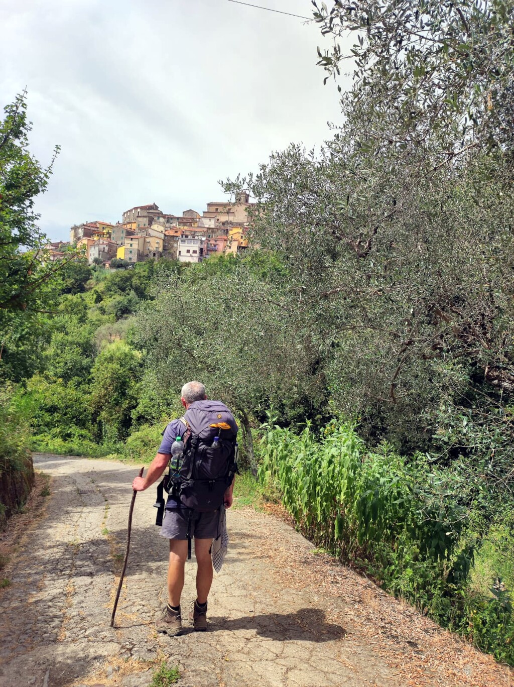 Via francigena 2024