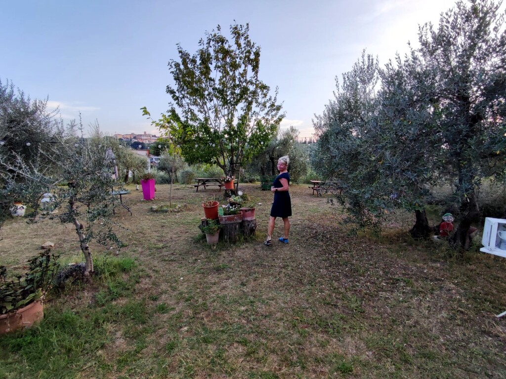 Via francigena 2024