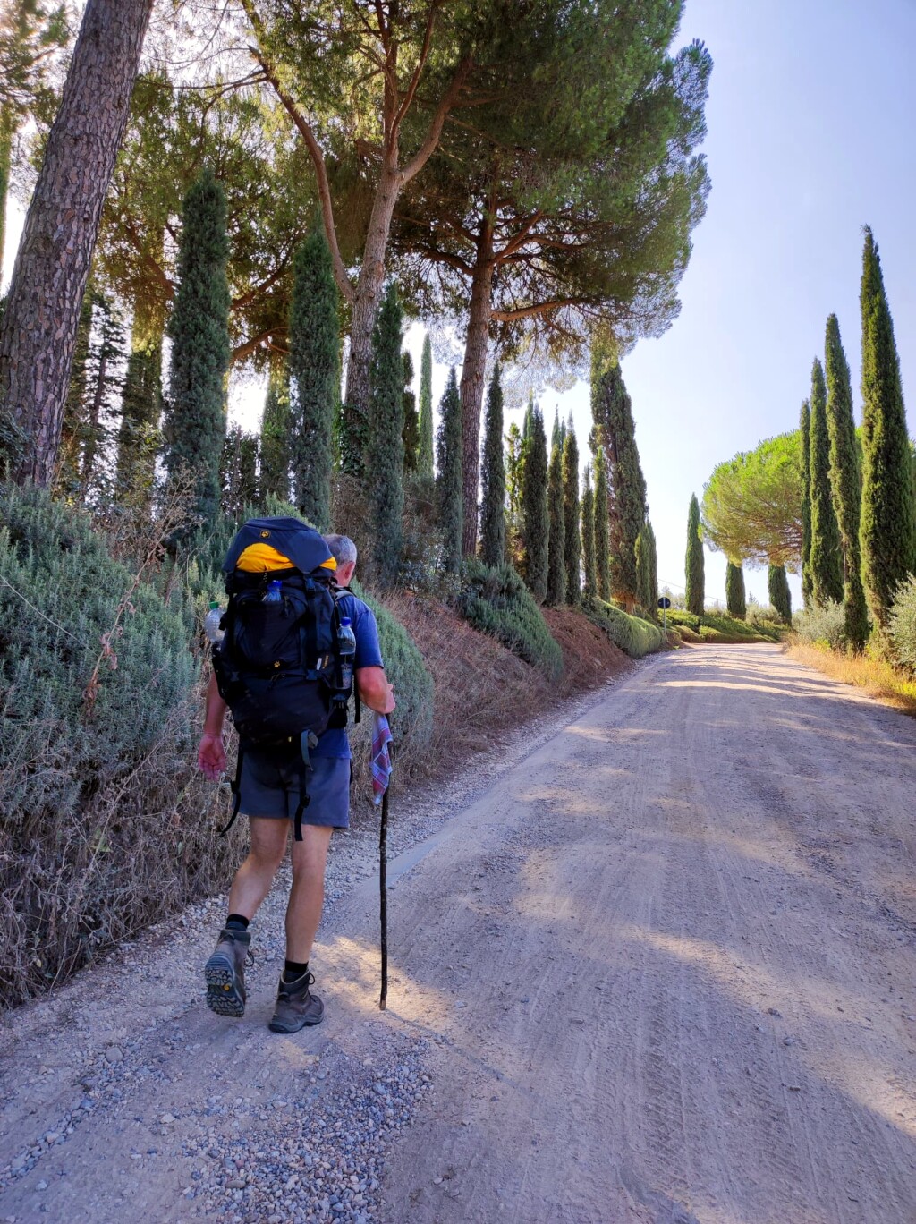 Via francigena 2024