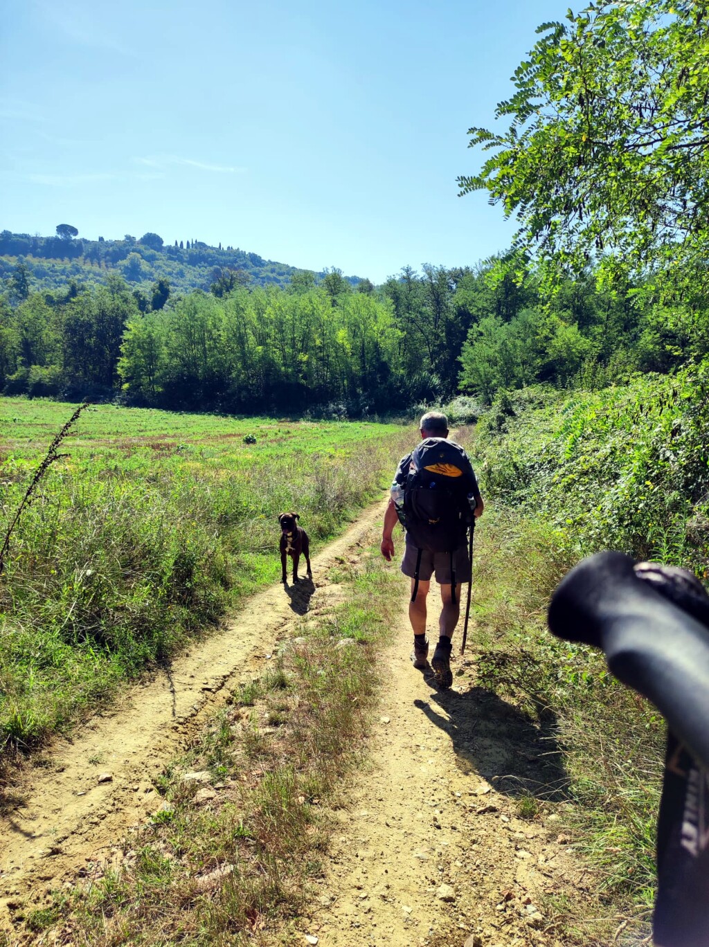 Via francigena 2024