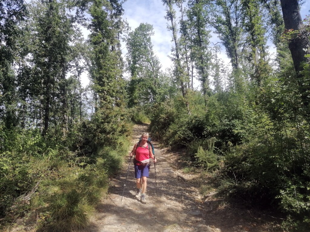 Via francigena 2024