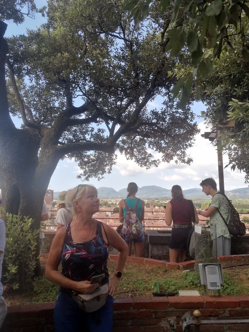 Via francigena 2024