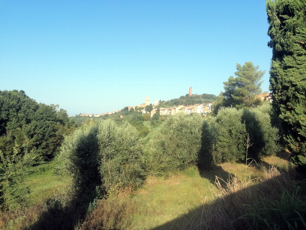Via francigena 2024