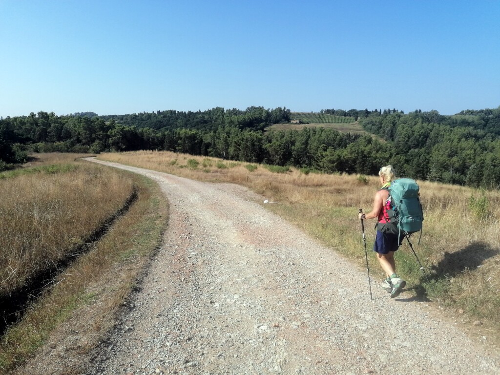 Via francigena 2024