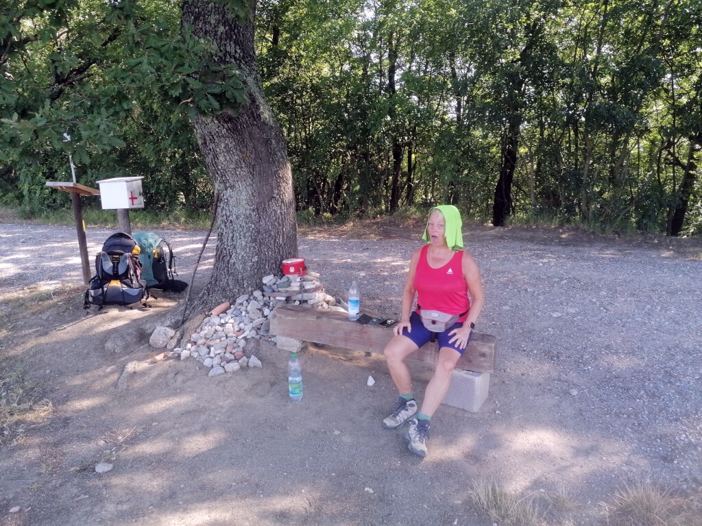 Via francigena 2024