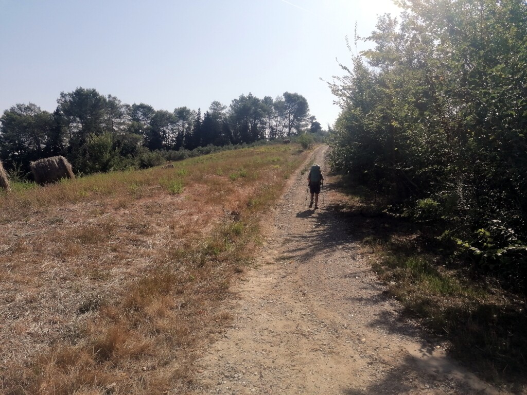 Via francigena 2024