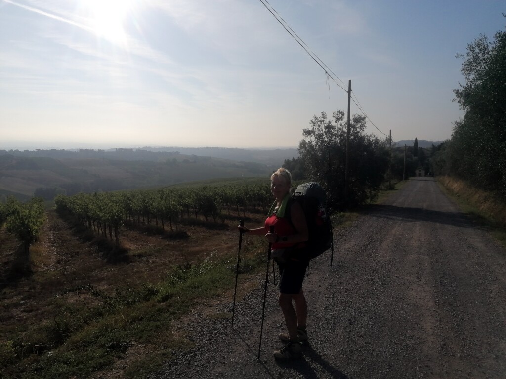 Via francigena 2024