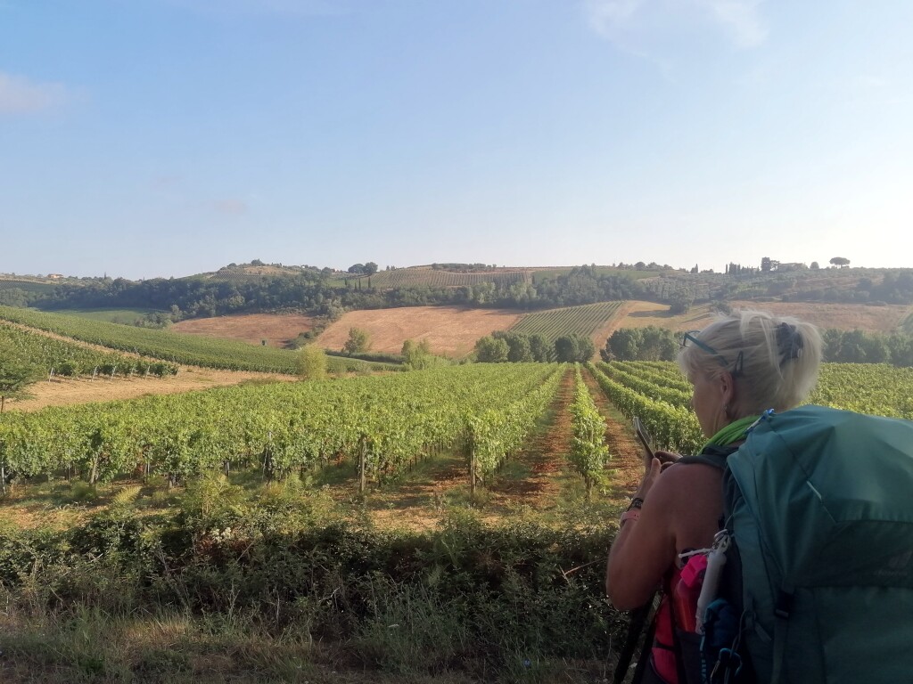Via francigena 2024