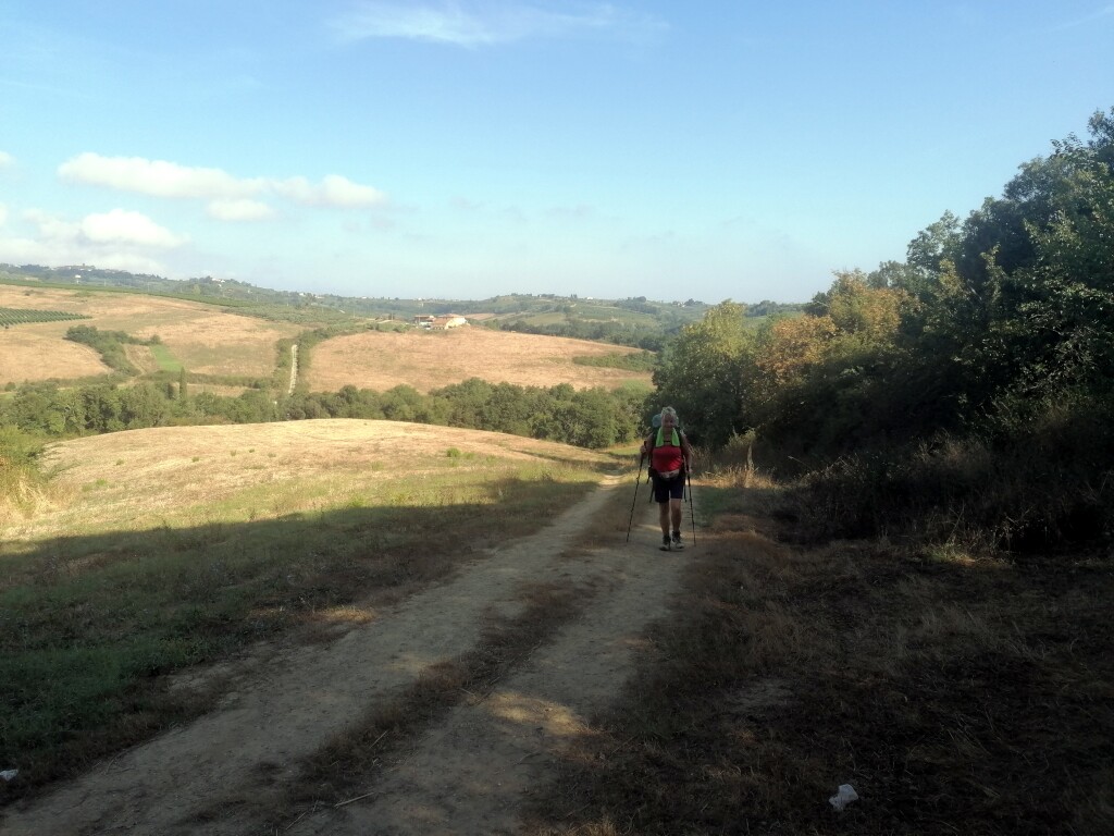 Via francigena 2024