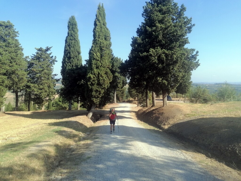 Via francigena 2024