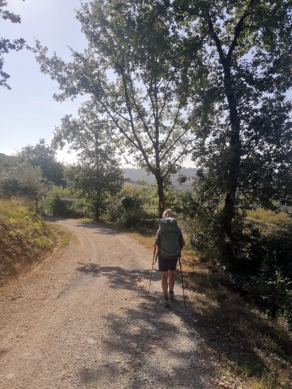 Via francigena 2024