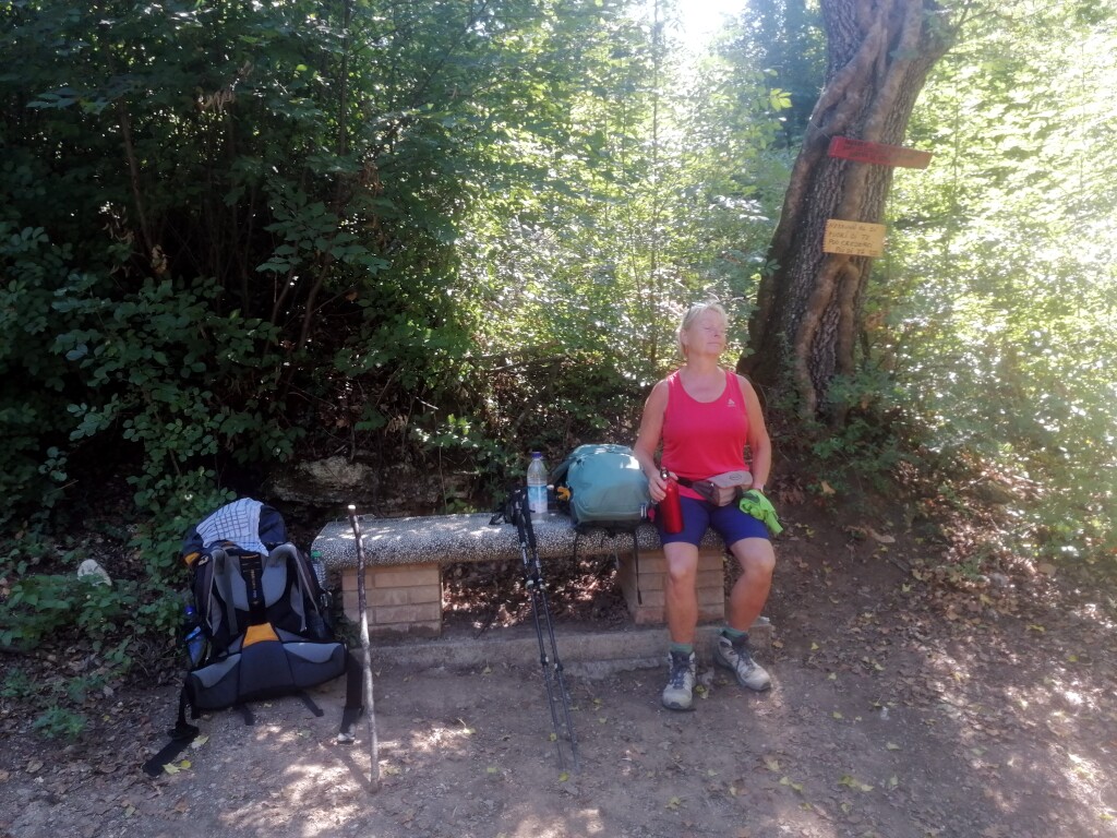 Via francigena 2024