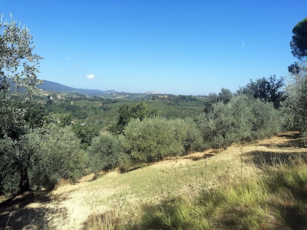Via francigena 2024
