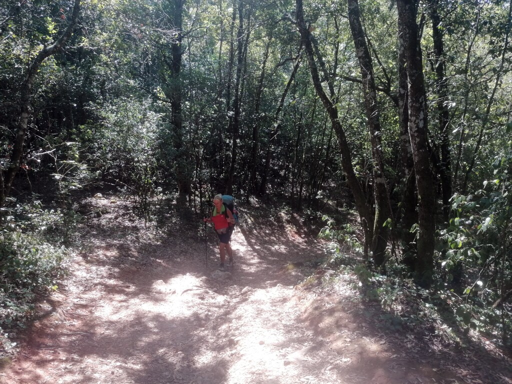 Via francigena 2024