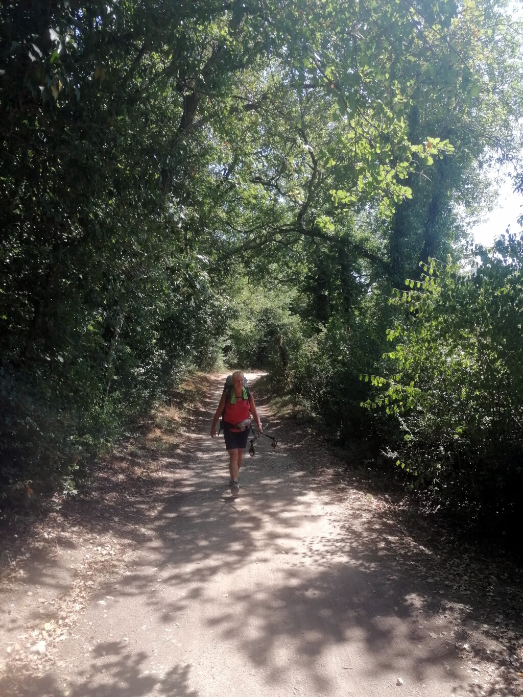 Via francigena 2024