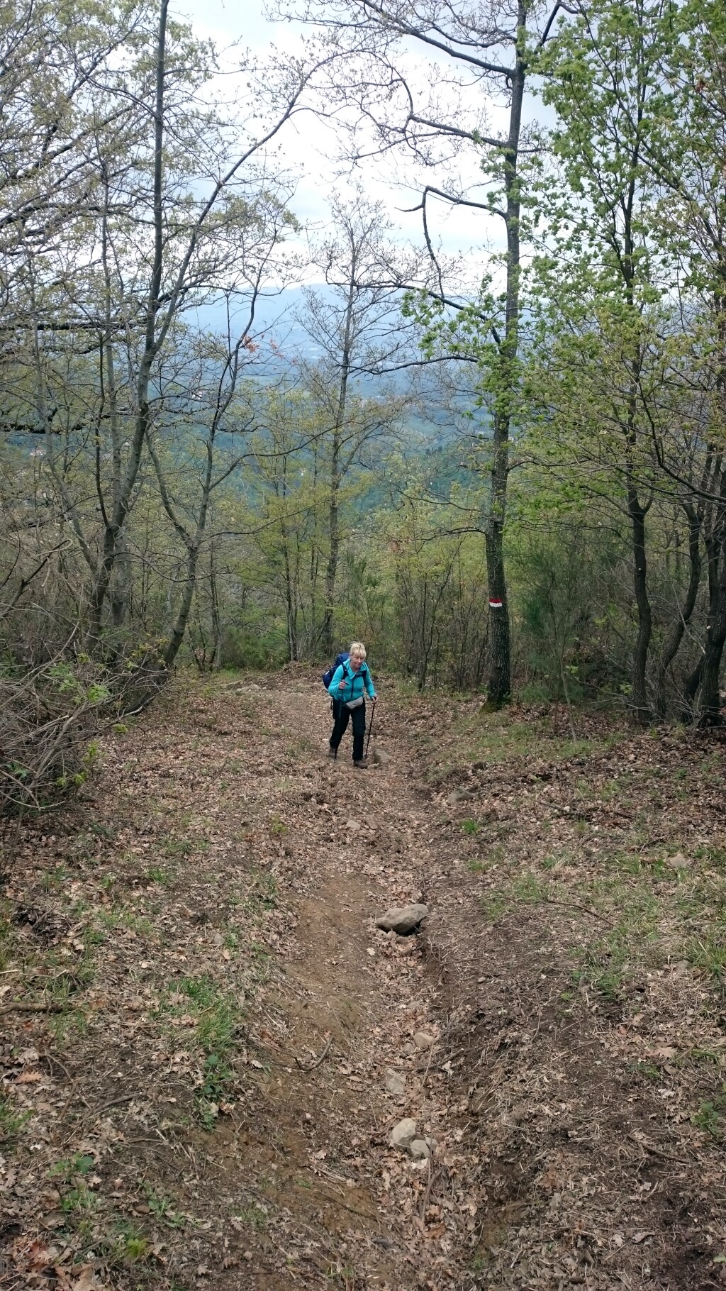 Franziskus Weg