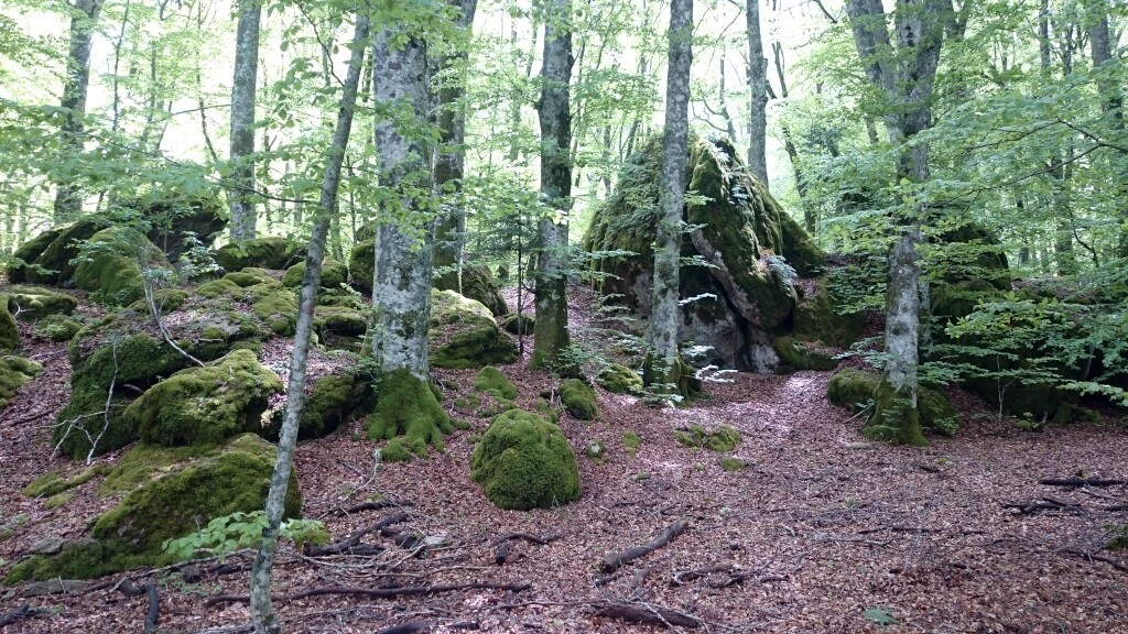 Franziskus Weg