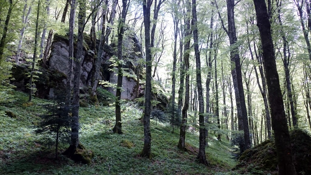 Franziskus Weg