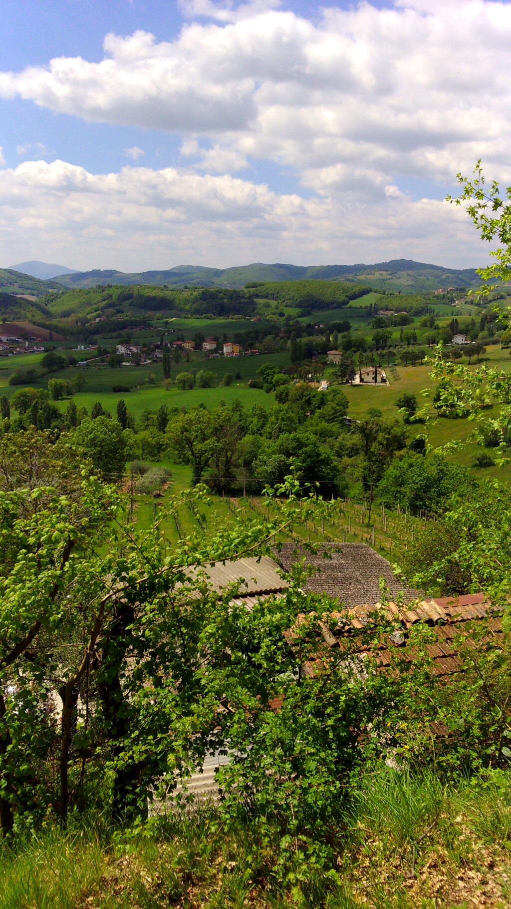 Franziskus Weg