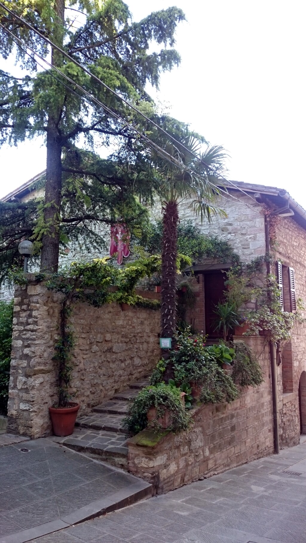Franziskus Weg