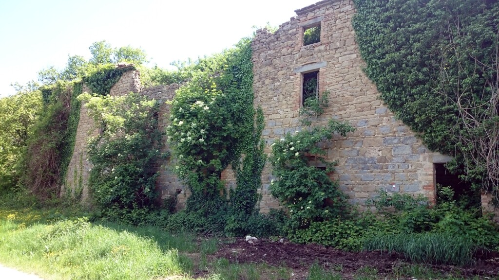 Franziskus Weg