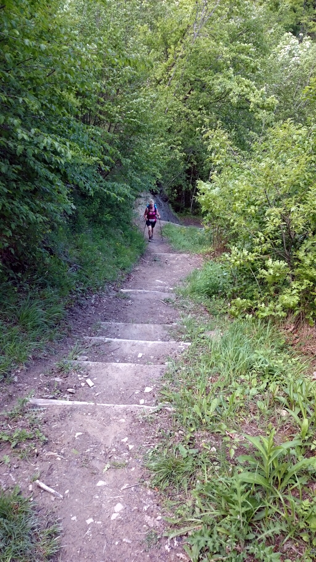 Franziskus Weg