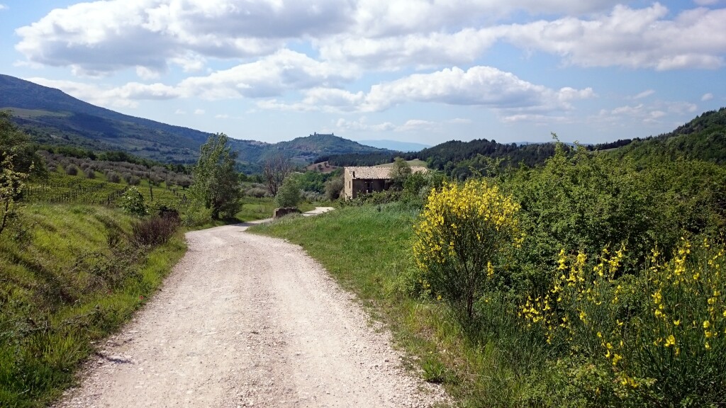 Franziskus Weg
