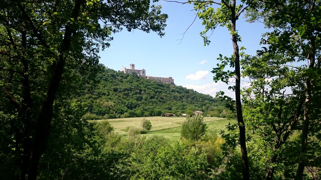 Franziskus Weg