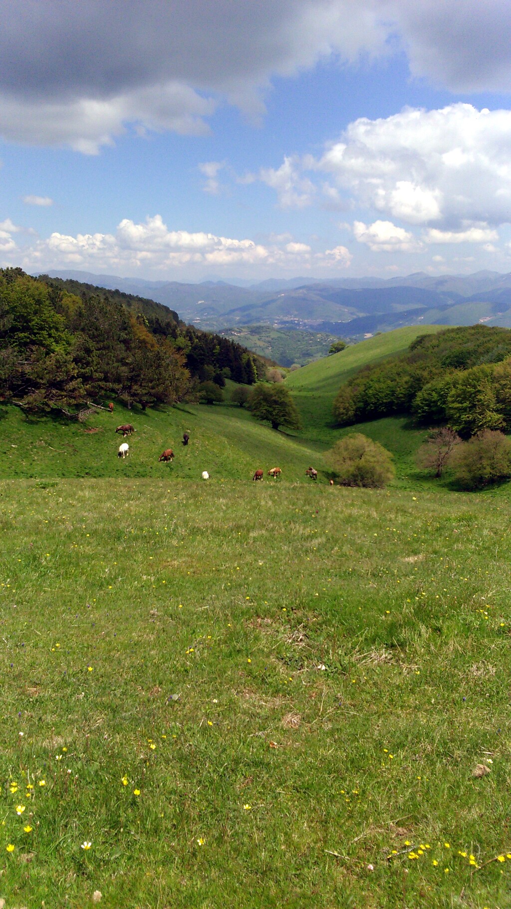 Franziskus Weg
