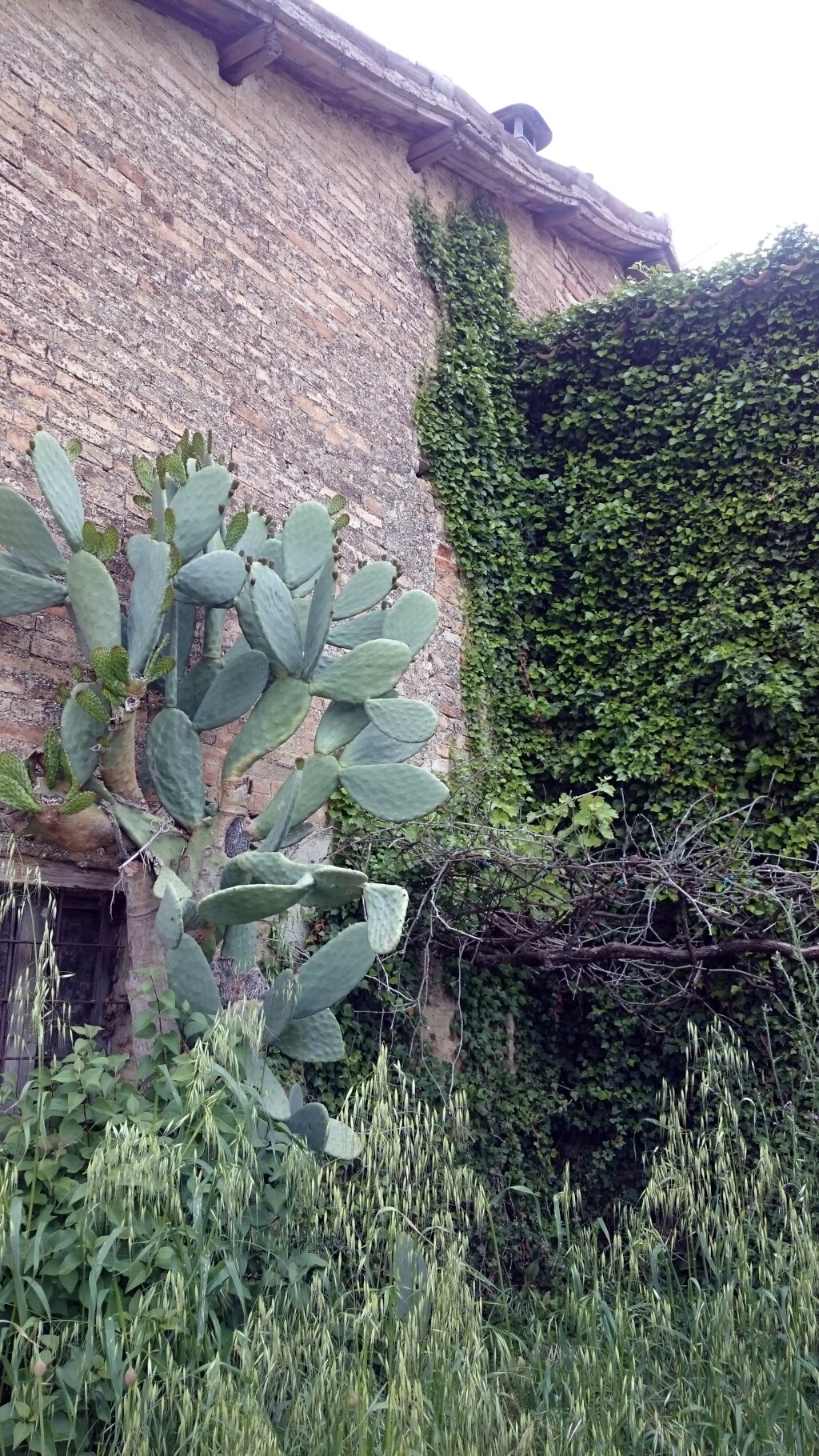 Franziskus Weg