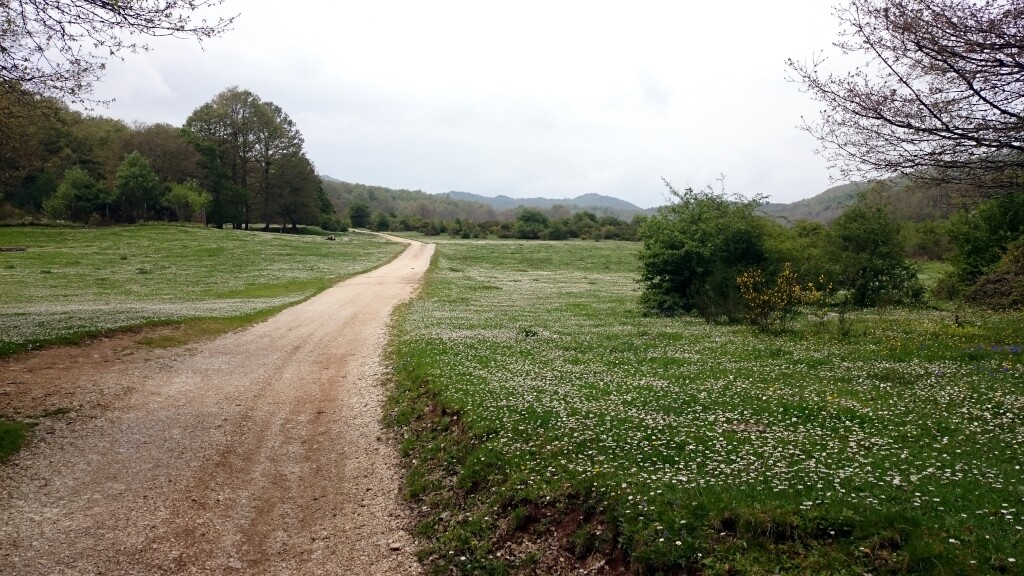 Franziskus Weg