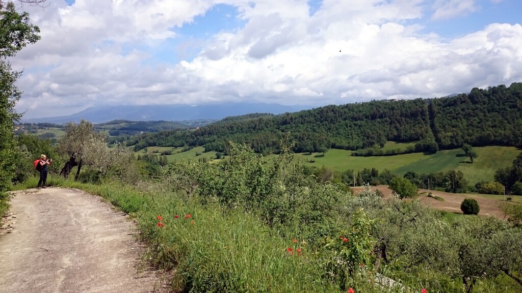 Franziskus Weg