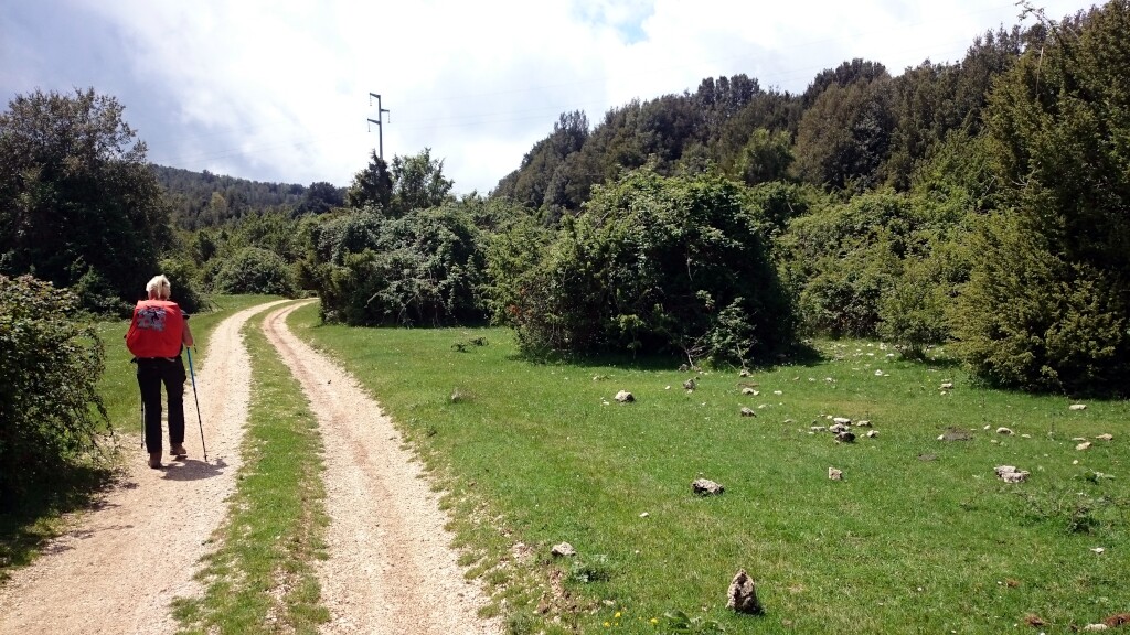 Franziskus Weg