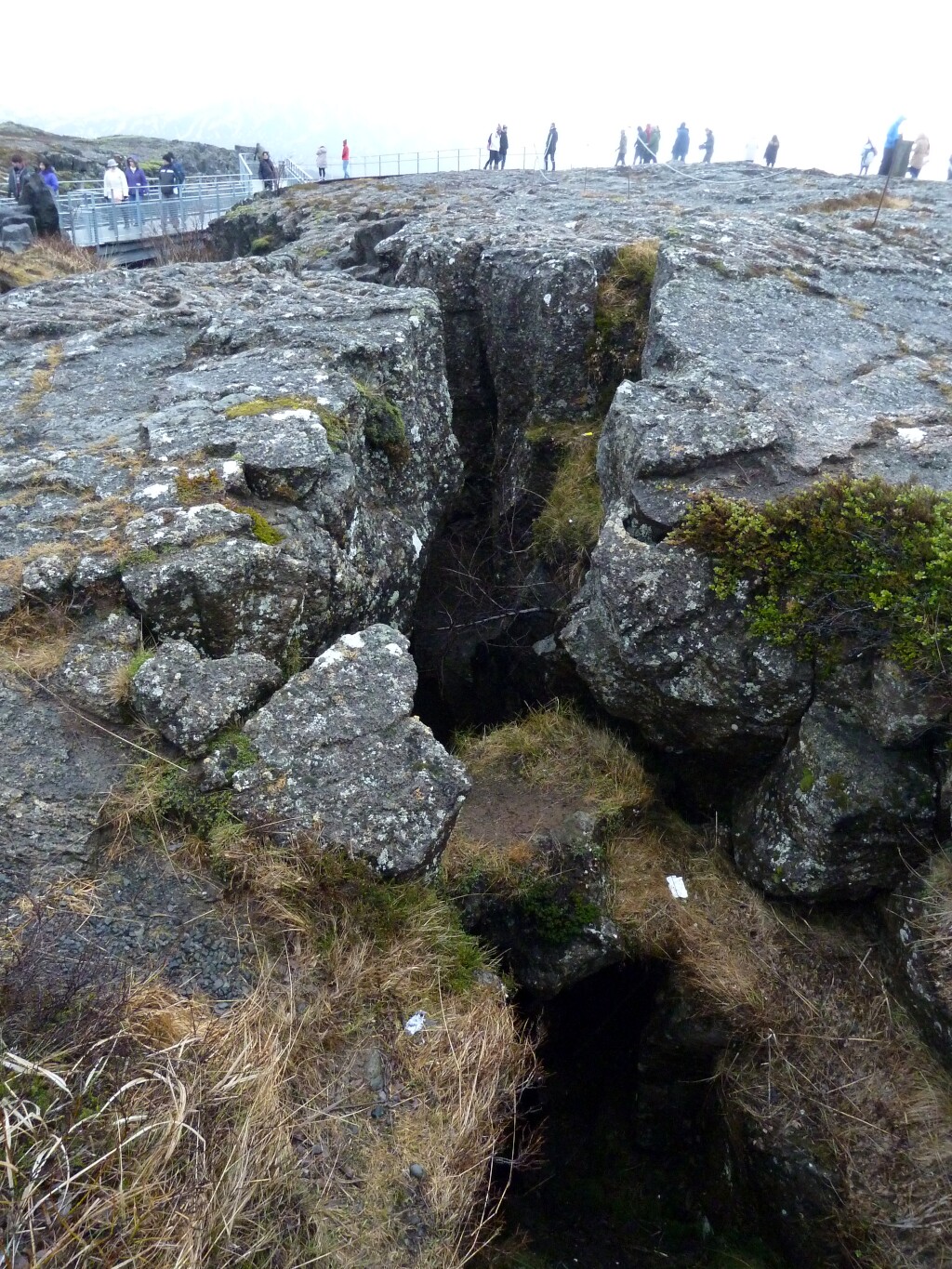 Island