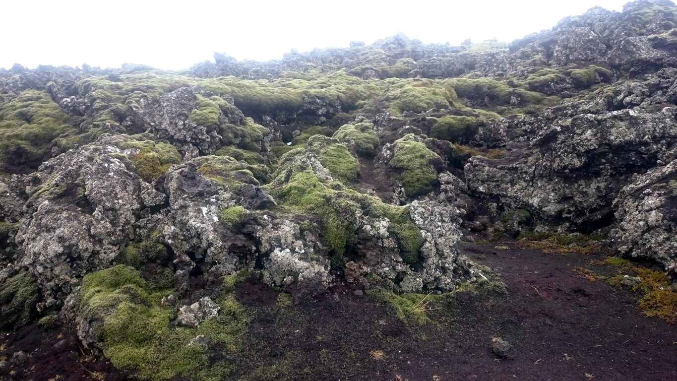 Island