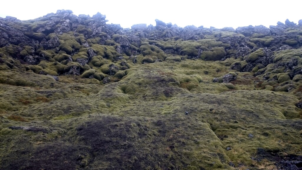 Island