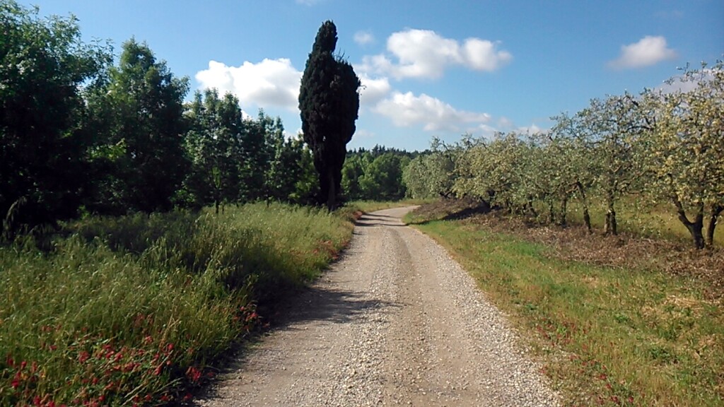 Jerusalem Weg