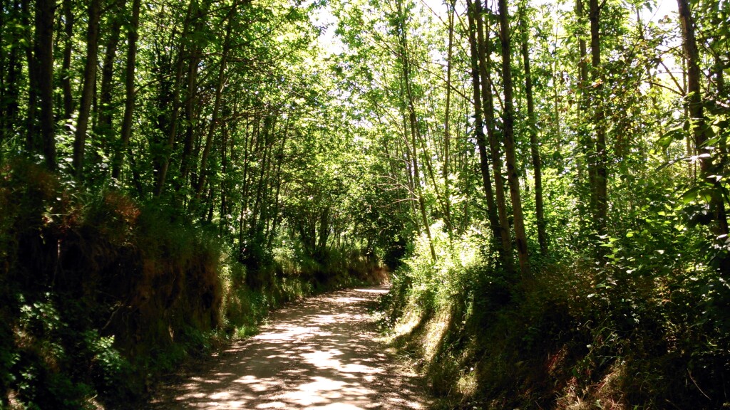 Jerusalem Weg