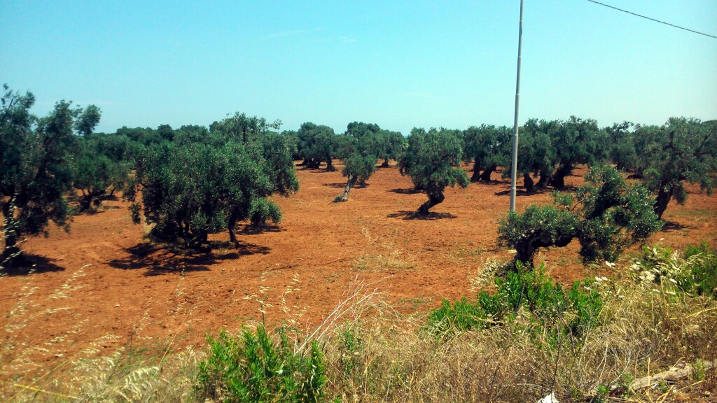 Jerusalem Weg