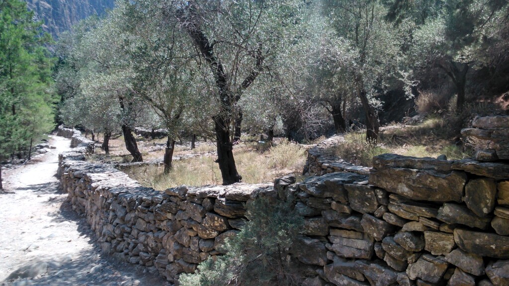 Jerusalem Weg