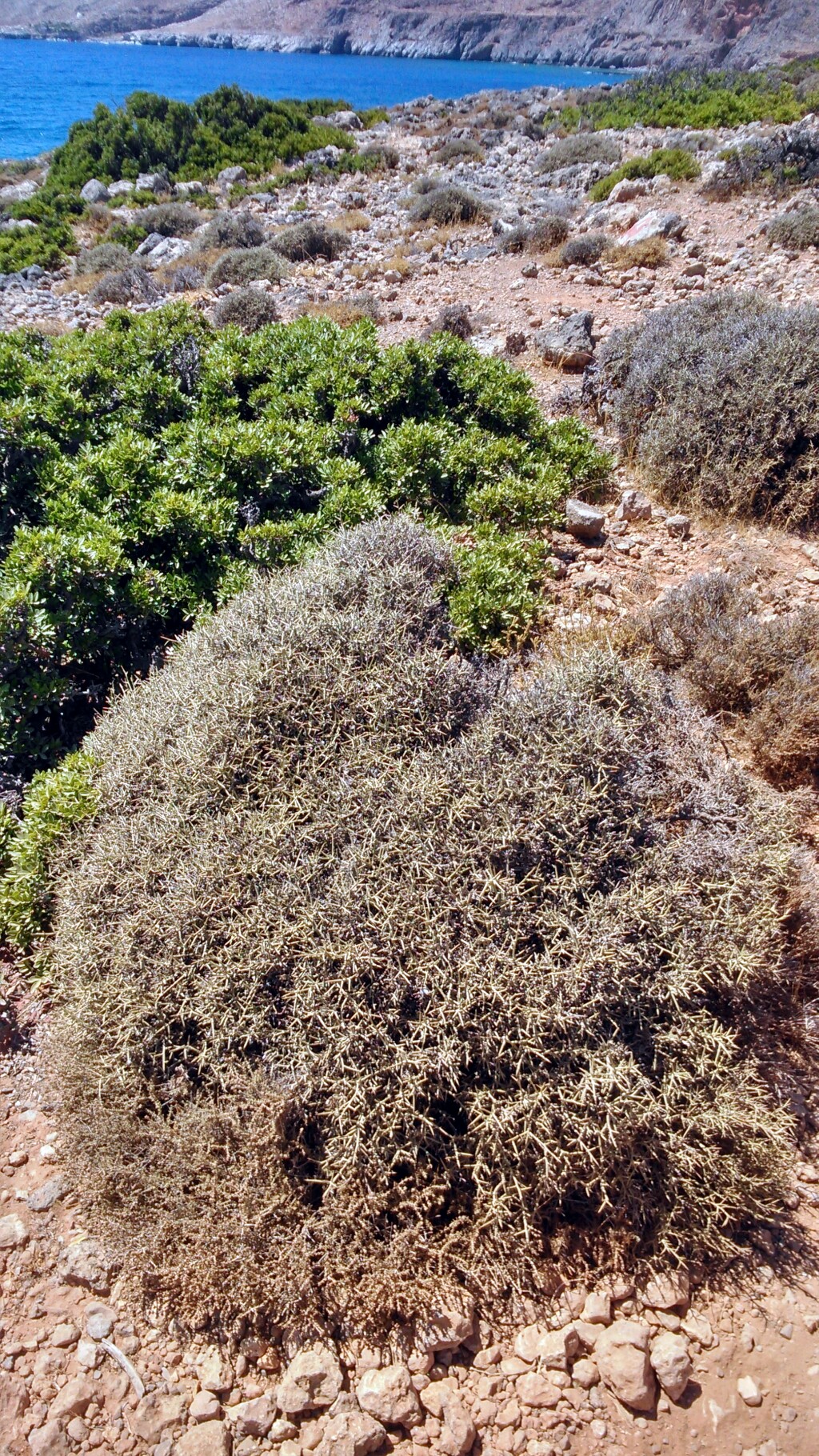 Jerusalem Weg