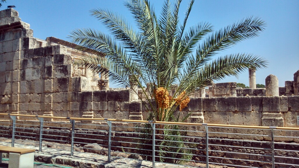 Jerusalem Weg