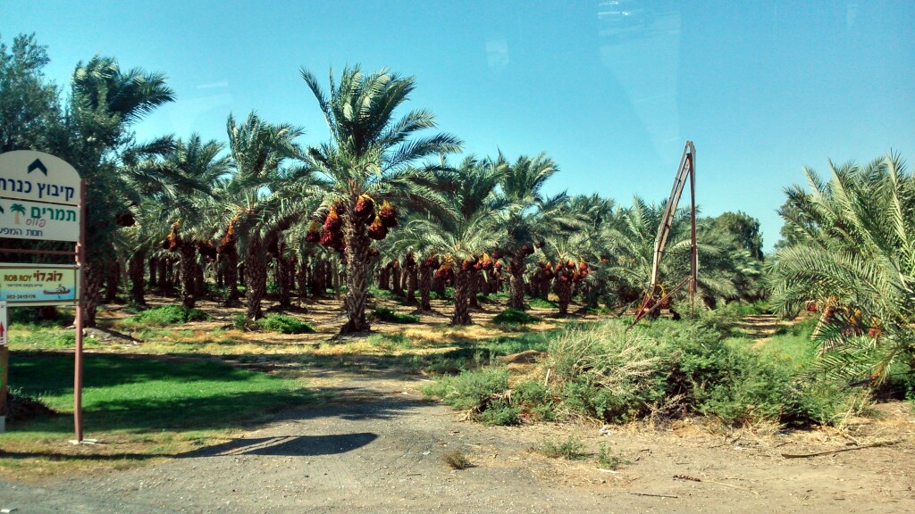 Jerusalem Weg